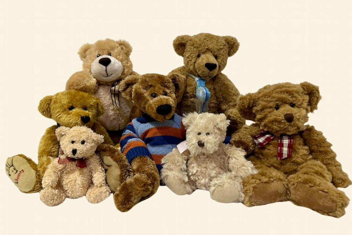 Helping the Planet, One Cuddle at a Time: Redefining the Future of Toy Ownership